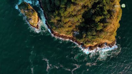 Puerto Vallarta va por la certificación Blue Flag en sus playas