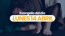 Evangelio 14 abril