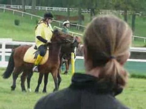 Les télétobbyzes concours au lion d'angers