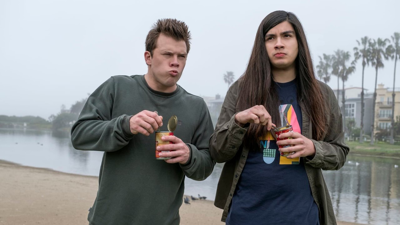 American Vandal