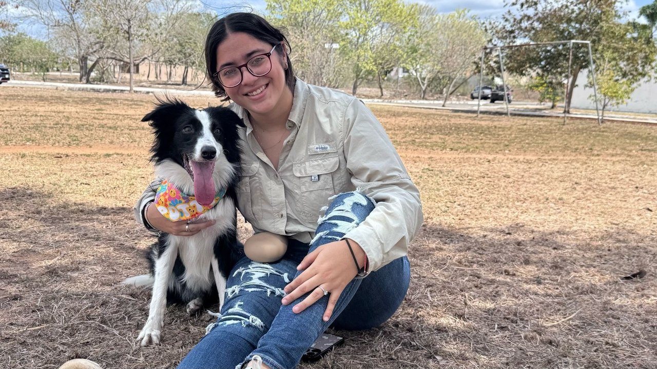 Perrita yucateca gana concurso de obediencia en Mérida