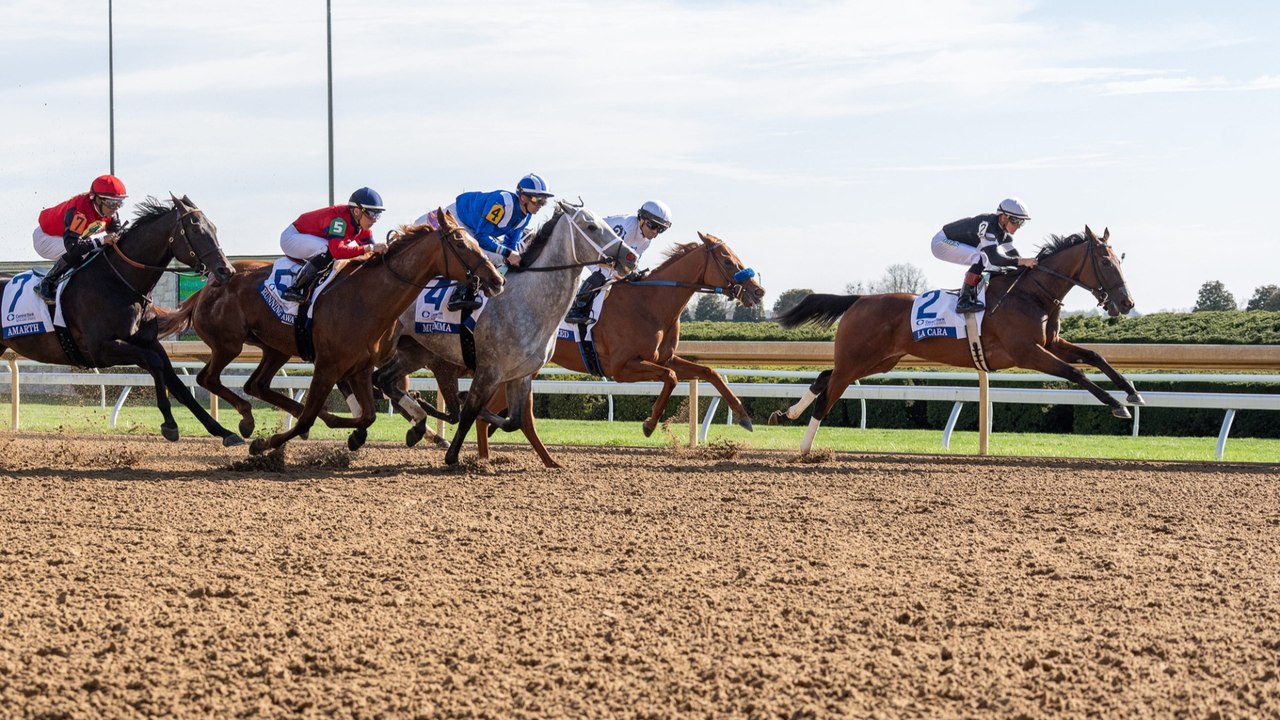 Previewing Keenland Race Nine: Key Horses & Insights