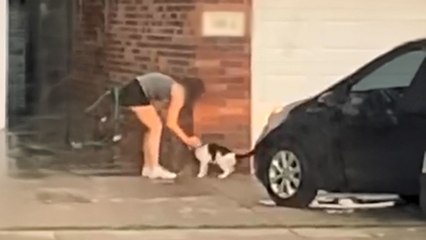 Woman Couldn’t Believe Her Neighbors Abandoned Their Senior Cat