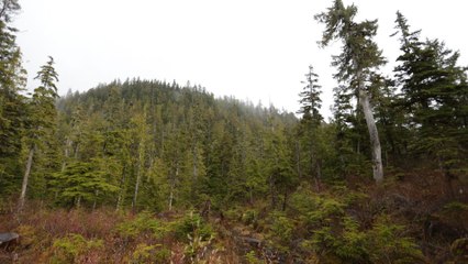 Alaska : seuls au monde