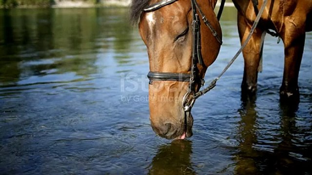 very well done for your hard working and dedication and hard working work on the field and on your journey and your dedication towards your career as an athlete in this difficult times you have been working so much harder and you deserve to