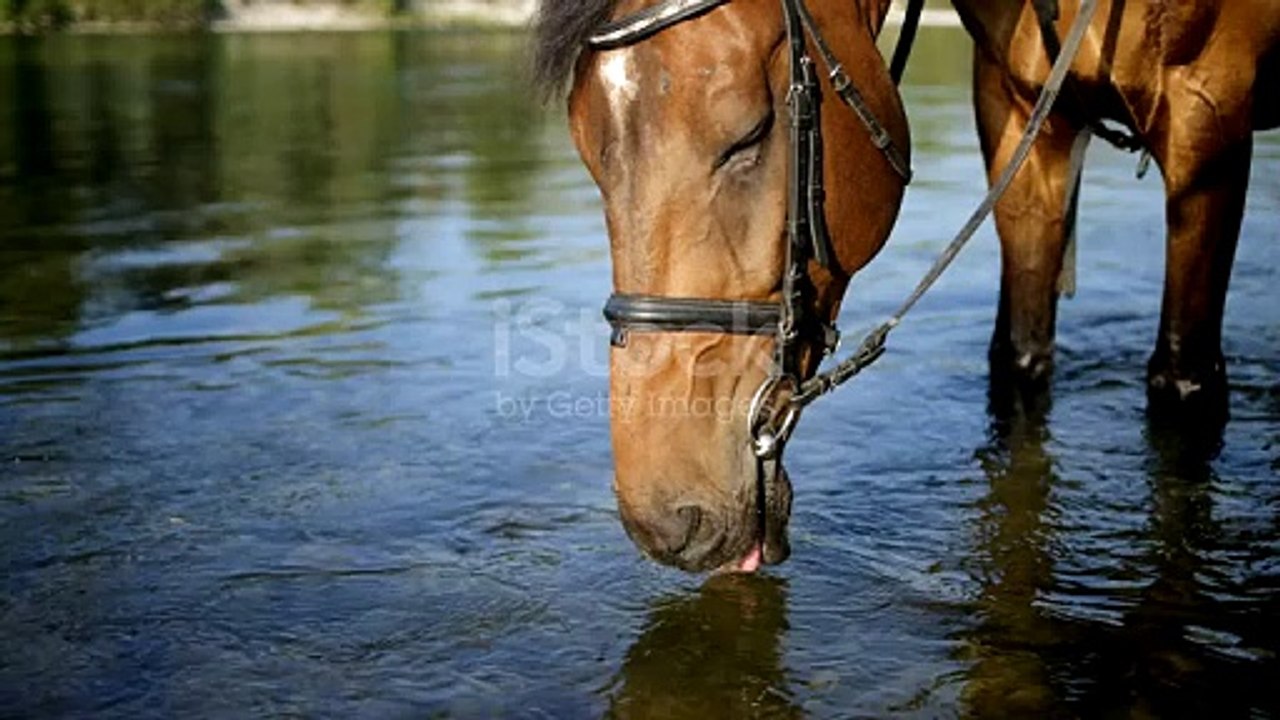 very well done for your hard working and dedication and hard working work on the field and on your journey and your dedication towards your career as an athlete in this difficult times you have been working so much harder and you deserve to