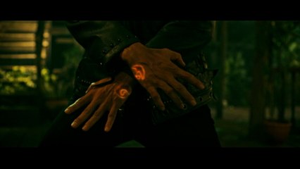 Vengeance aux poings