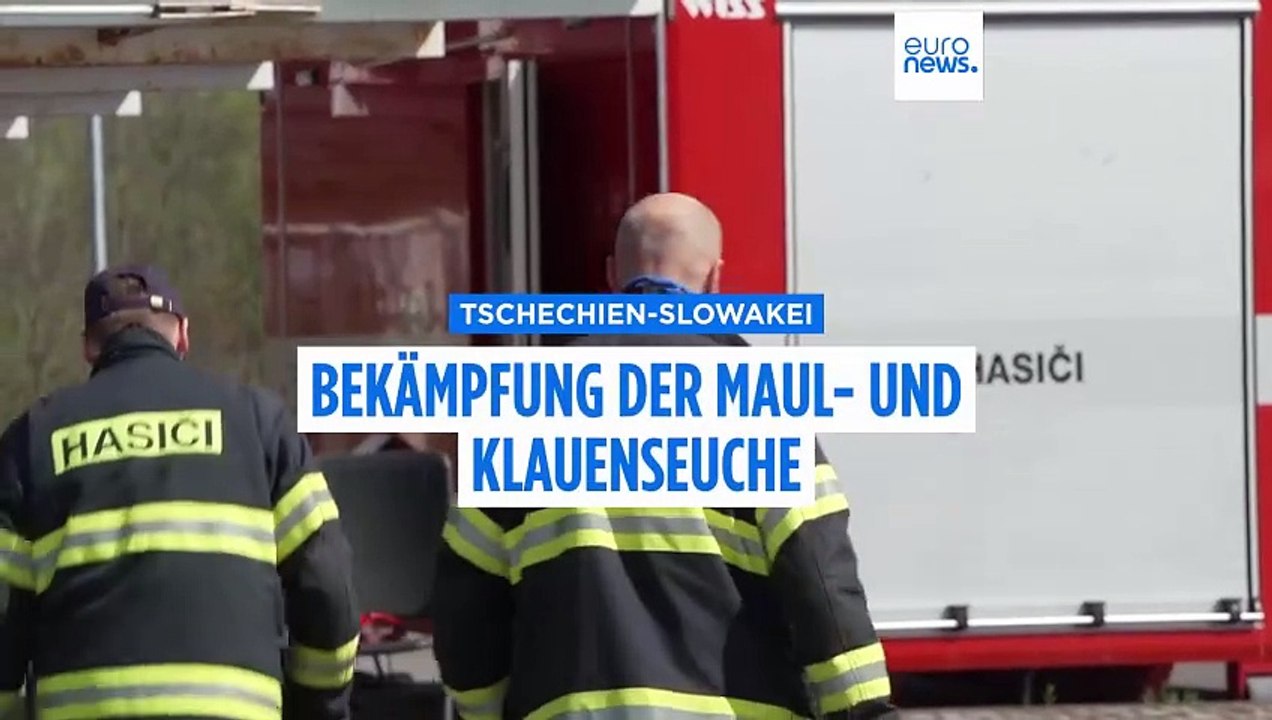 Maul- und Klauenseuche: Slowakei erklärt den Notstand