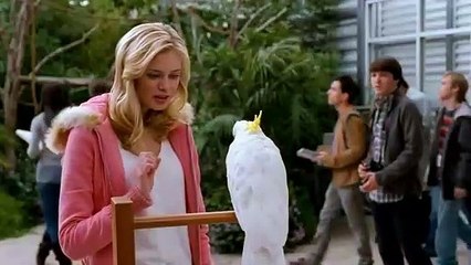 Superheroes - La Película  Español Latino