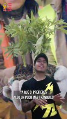 Expo Star Wars 2025, Mercado del Trueque y Feria Nacional de la Nieve