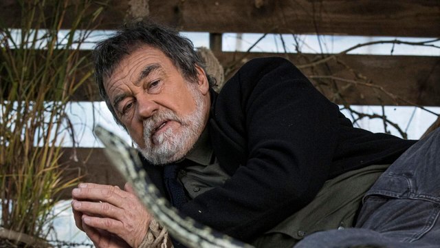 Les rivières pourpres