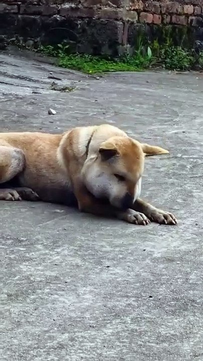 I know I'm wrong, please stop laughing at me🥲