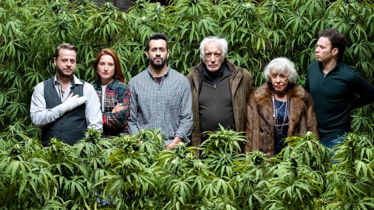 Family Business