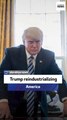 Former US ambassador: Trump reindustrializing America