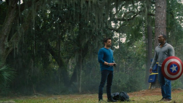 Falcon et le soldat de l'hiver