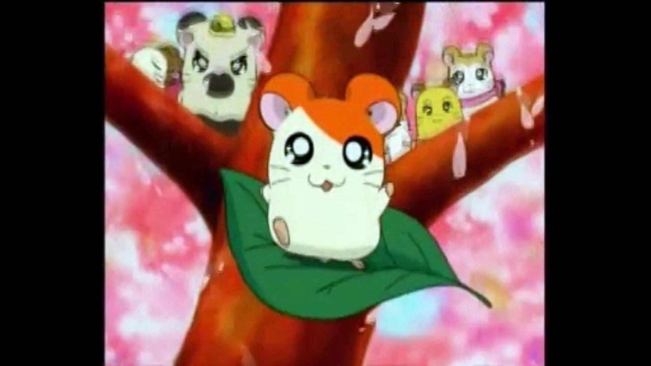 Hamtaro Season 2 - Made with Clipchamp