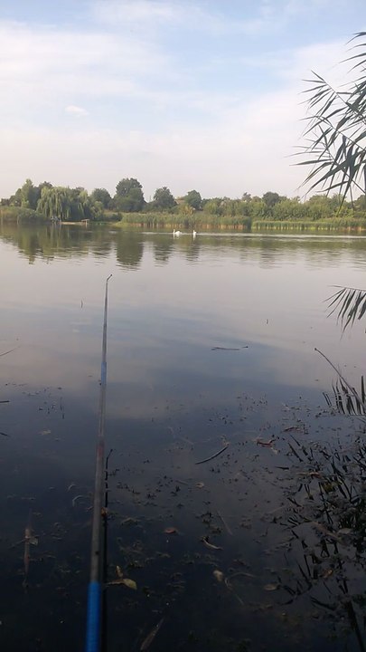 fishing