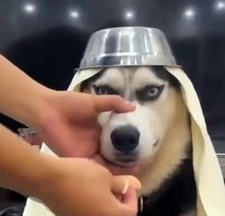 The way a smile transformed her face