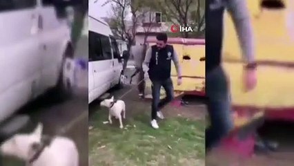 10 bin Euro değerindeki köpeği çalan şüpheli tutuklandı