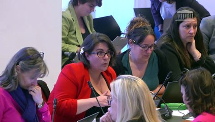 Commission des affaires sociales : Proposition de loi relative à la fin de vie (suite) - Vendredi 11 avril 2025