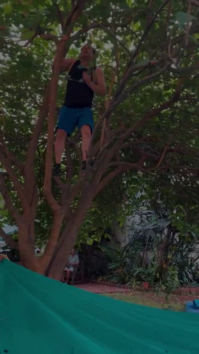 Salman Khan tree climbing video goes viral