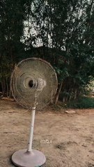 Village Morning Bliss  Nature’s Symphony #maxrecords #Larkana #sindh