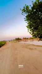 A Glimpse of Village Simplicity  Nature & Life #maxrecords #Larkana #sindh