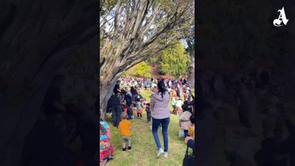 One Agency Burnie's annual Easter egg hunt