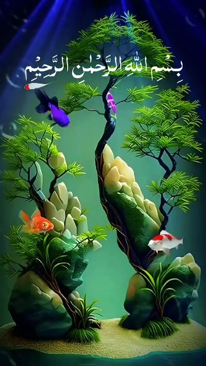 Subhanallah | Islamic images, Background images wallpapers, Download cute wallpapers#foryou