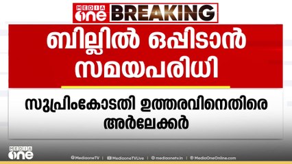 'ജുഡീഷ്യറിയുടേത് അതിരുകടന്ന ഇടപെടൽ, വിഷയം ഭരണഘടനാ ബെഞ്ചിന് വിടണമായിരുന്നു'