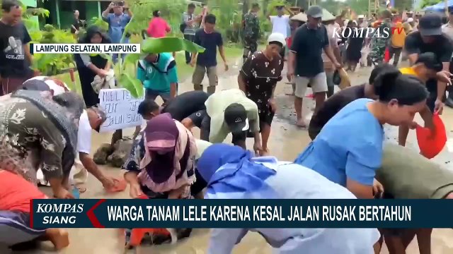 Bentuk Protes Jalan Berlubang yang Sudah Tahunan, Warga di Lampung Tanam Lele & Pohon Pisang