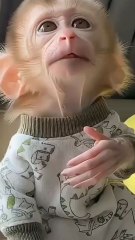 kids Gear Angels #cartoon#kids