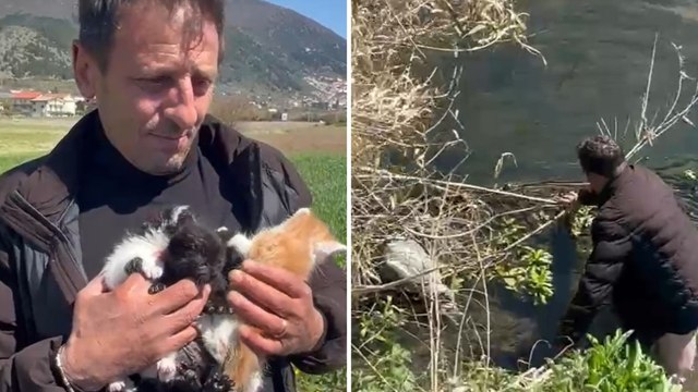 Sala Consilina, l'imprenditore Enzo Vespoli salva tre gattini chiusi in una busta e lanciati nel canale da un'auto in corsa