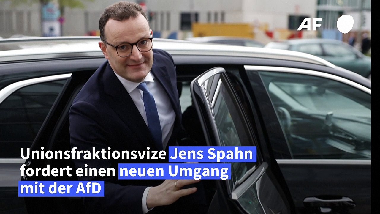 AfD: CDU-Politiker Spahn fordert neuen Umgang mit der Partei