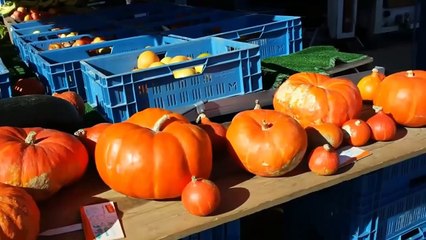 Autora de Harry Potter foi cancelada | Visão Libertária - 11/06/20 | ANCAPSU