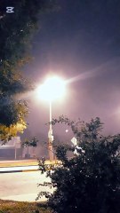 Con los peludos - Luna y neblina - Tacuarembó (18/03/2025)