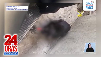 Pusa, tinamaan ng improvised na pana sa mata | 24 Oras Weekend
