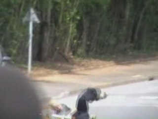 Rock'n solex' n trottinette