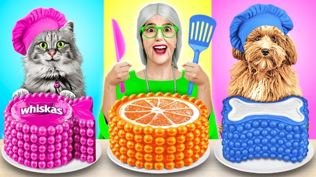 TOUT SUR LES ANIMAUX DE COMPAGNIE ! Défis amusants & astuces faciles par 123 GO! Challenge