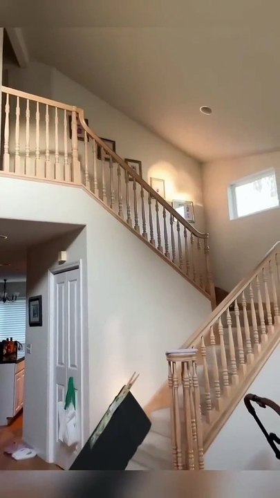 Why #CatTok is Obsessed: 30-Second Compilation of Cats & Cucumbers Colliding 🥒💥 #cattok #cat #funny