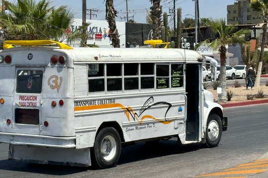 Programa de credencialización para beca de transporte en Los Cabos, ¿A quiénes beneficiará?