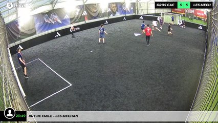 But de Emile - LES MECHAN