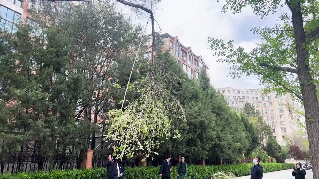 Fortes ventos forçam cancelamento de voos na China