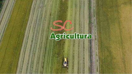 Confira a íntegra do programa SC Agricultura deste sábado (14)!
