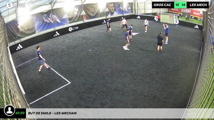 But de Emile - LES MECHAN