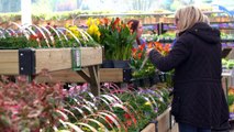 The Cleary family could never have dreamed 35 years ago that over one hundred people would be queuing to celebrate their new expansion to their destination garden centre.