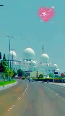 All types New motivation clips