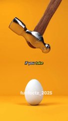 Fun facts #funfacts #factsyoudidntknow