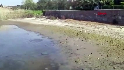 Sular çekildi, endişe yükseldi! Ayvalık sahilinde sıradışı manzara