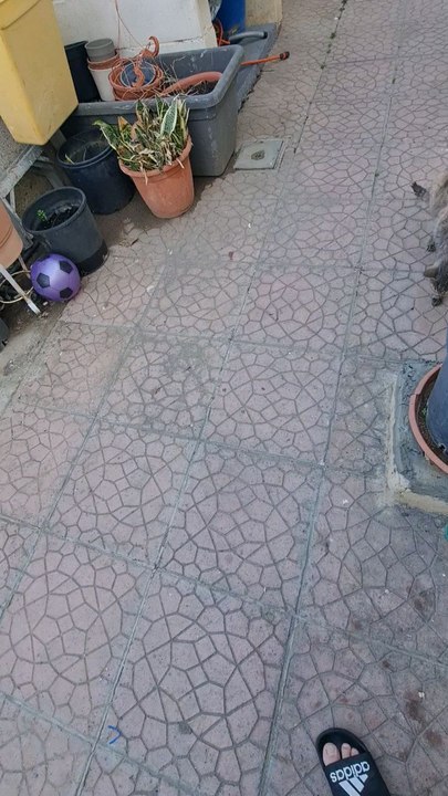 I have never found an explanation for the phenomenon of the cat circling the same place.